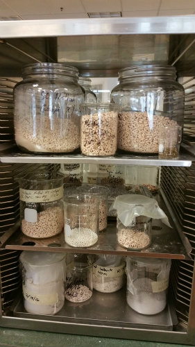 catalyst_storage_cabi